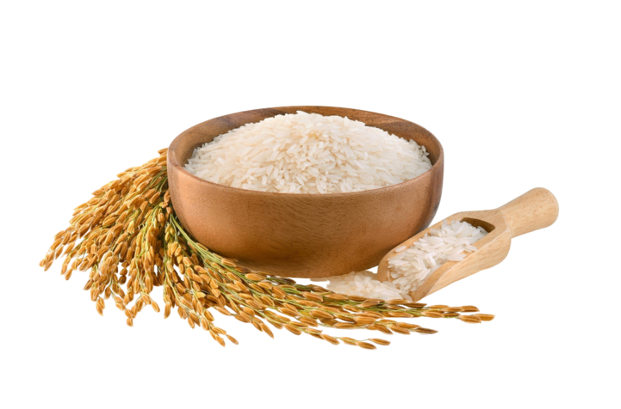 Bowl of milled rice with paddy stalks