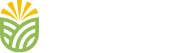 DSK International
